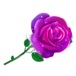玫瑰花动态