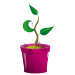 花盆(静态)