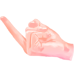 中指