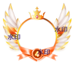 VIP框4