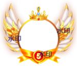 VIP框5