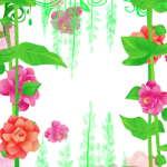 绿花藤