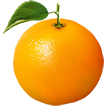 橙子
