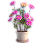 花盆a款