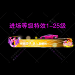 进场特效1-25级