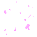 花瓣雨
