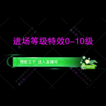 进场特效0-10级