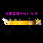 进场特效1-30级