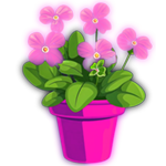 花盆b款