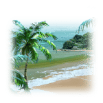 海滩
