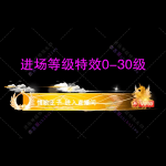 进场特效0-30级